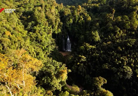Economic development under Nấm Dẩn forest | Vibes of Vietnam