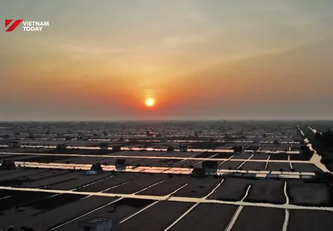 Vietnamese salt aims for new heights | Vibes of Vietnam