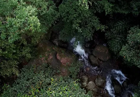 The biodiversity treasure of Vũ Quang National Park | Vibes of Vietnam