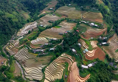 Developing tourism hand-in-hand with the environment | Vibes of Vietnam