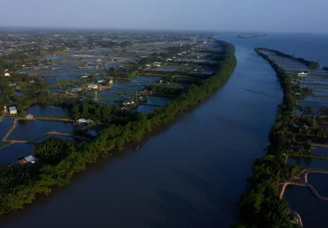 Nature-harmony tourism | Vibes of Vietnam
