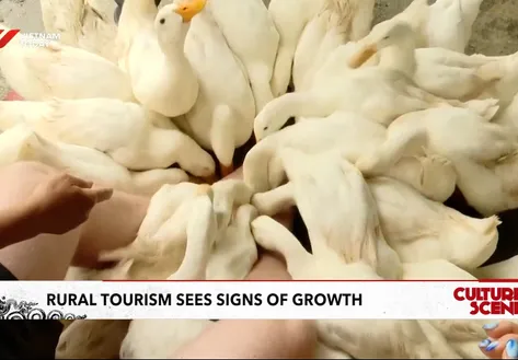 Rural tourism sees signs of growth