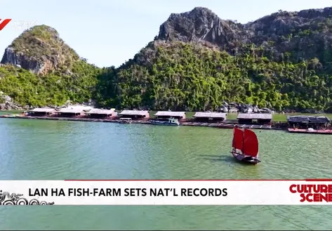 Lan Hạ fish-farm sets national records