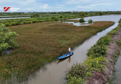 Land of Năn Tượng Grass | VIBES OF VIETNAM