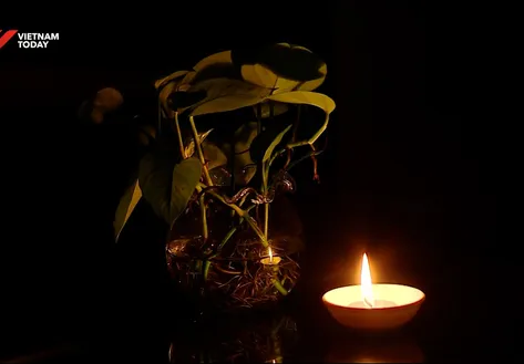 Việt Nam saves 460,000 kWh during Earth Hour 2026