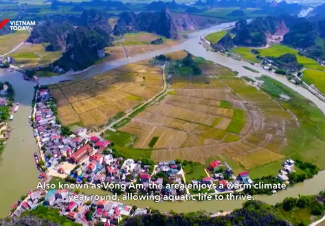 Life rhythms in the floodplain | Vibes of Vietnam