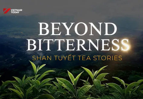 Shan Tuyết Tea Stories | Flavours & Beyond