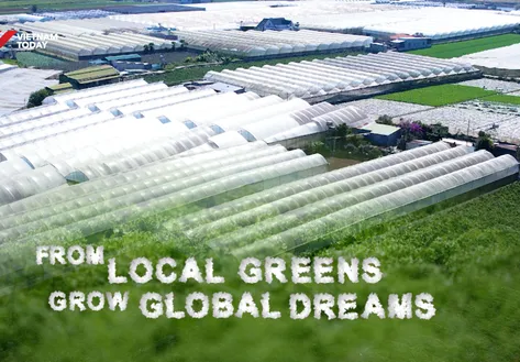 From local greens grow global dreams - Local Towards Global