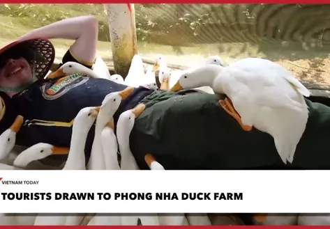 Tourists drawn to Phong Nha duck farm