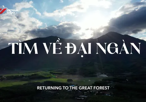 Returning to the great forest | Vibes of Vietnam