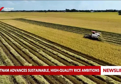 Việt Nam advances sustainable, high-quality rice ambitions