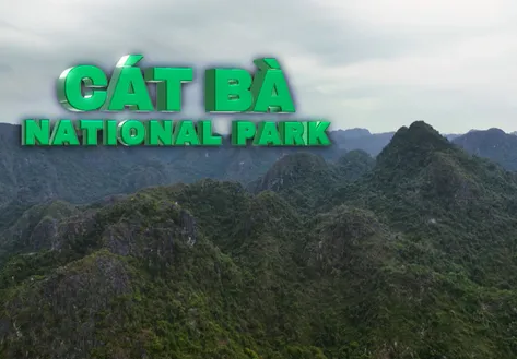 Cát Bà National Park - where life holds on | Heritage Journey