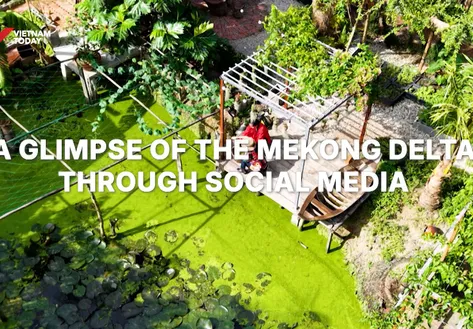 A glimpse of the Mekong Delta through social media | Vibes of Vietnam
