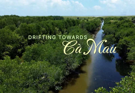 Drifting towards Cà Mau | Vibes of Vietnam