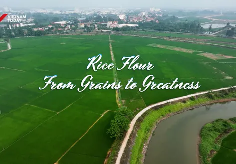 Rice Flour - From Grains to Greatness | Flavours and Beyond
