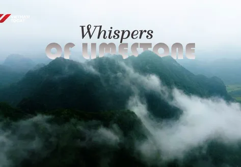 Whisper of the Limestone | Discovery