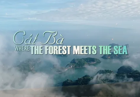 Cát Bà - Where the forest meets the sea | Heritage Journey