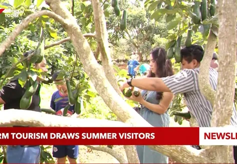 Farm tourism draws summer visitors