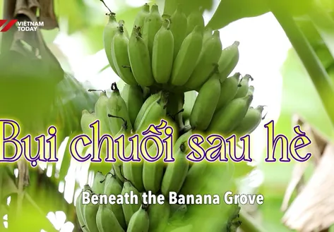 Beneath the Banana Grove | Vibes of Vietnam