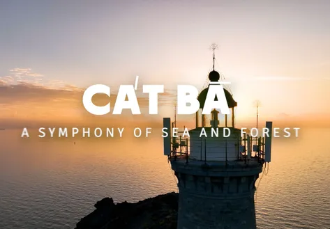 Cát Bà – A Symphony of Sea and Forest | Vibes of Vietnam