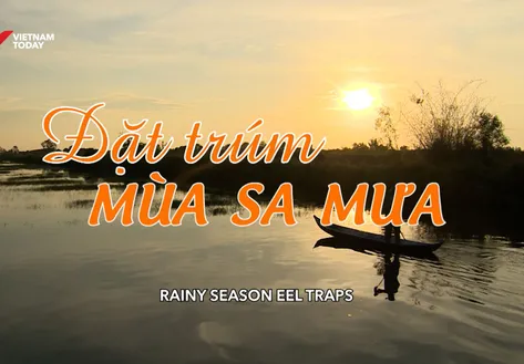 Rainy Season Eel Traps | Vibes of Vietnam