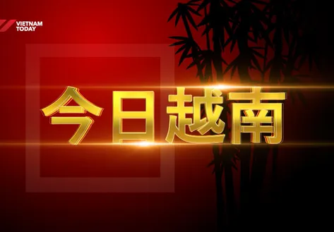 China Link | 10.06.2026