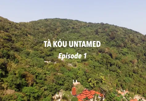 Tà Kóu untamed - Episode 1 | Insights