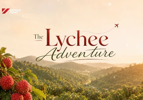 The Lychee Adventure | Local Towards Global