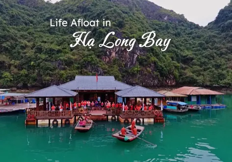 Life Afloat in Hạ Long Bay | Vibes of Vietnam
