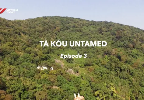 Tà Kóu untamed - Episode 3 | Insights