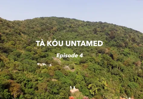 Tà Kóu untamed - Episode 4 | Insights