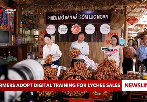 Farmers adopt digital training for lychee sales
