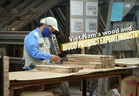 The Point 1: Việt Nam's wood and wood product export industry | 01.07.2026