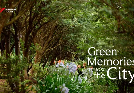 Green Memories Amidst The City | Vibes of Vietnam