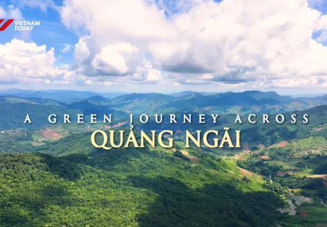 A Green Journey Across Quảng Ngãi  | Vibes of Vietnam