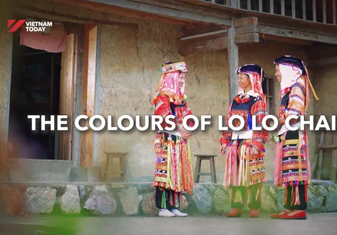 The color of Lô Lô Chải | Insights