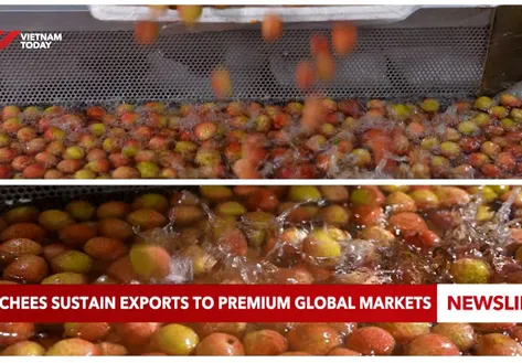 Vietnamese lychees sustain exports to premium global markets
