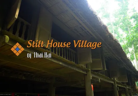 Stilt house village of Thái Hải | The Rhythms of Vietnam