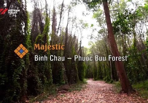 Majestic Bình Châu – Phước Bửu Forest | The Rhythms of Vietnam
