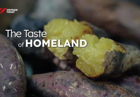 The Taste of Homeland | Vibes of Vietnam