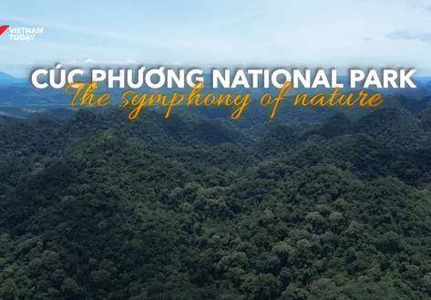 Cúc Phương National Park | Vietnam Destination