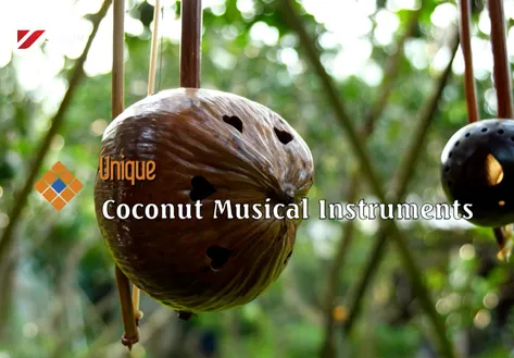 Coconuts musical instruments | The Rhythms of Vietnam