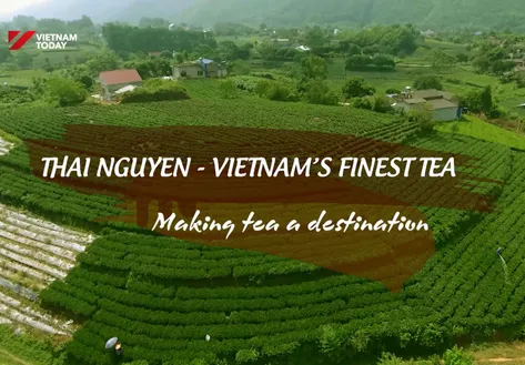 Thái Nguyên - Việt Nam’s finest tea | Local Towards Global