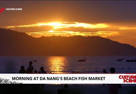 Morning at Đà Nẵng's beach fish market