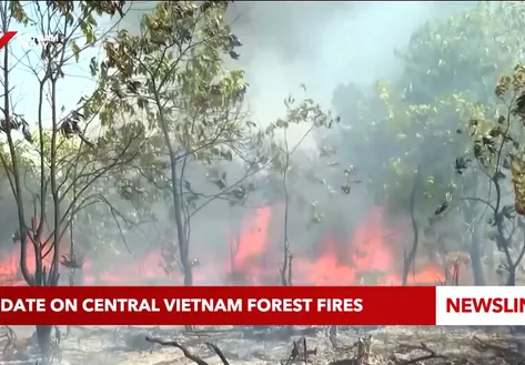 21/07/2026: Update on Central Vietnam forest fires