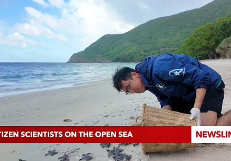 Citizen scientists on the open sea