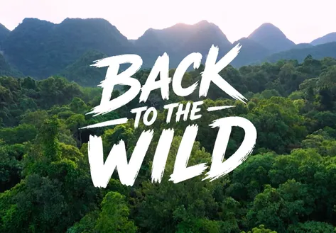 Back to the wild | I-Report