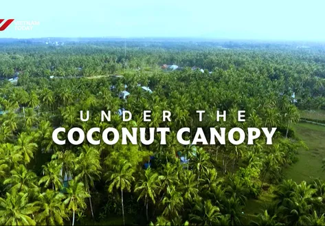 Under the Coconut Canopy | Vibes of Vietnam