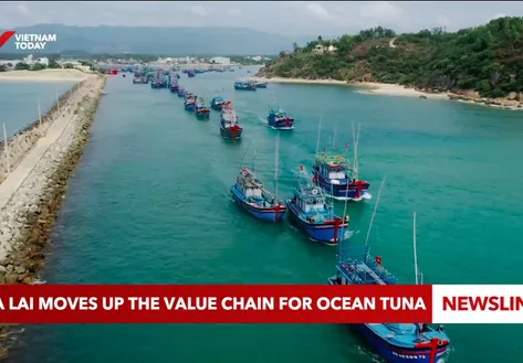 Gia Lai moves up the value chain for ocean tuna