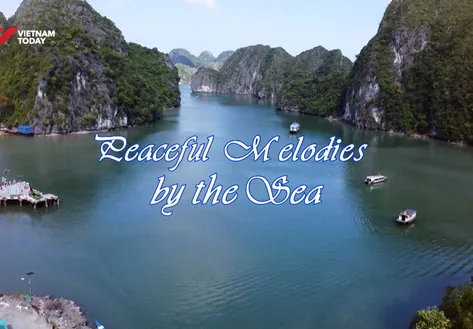 Peaceful Melodies by the Sea | Vibes of Vietnam